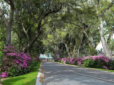Nightlife, shopping, restaurants and entertainment are minutes away from your front door! Schieveling Plantation - West Ashley, Charleston County ...