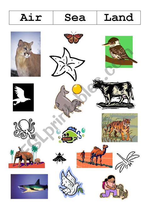 Land And Sea Animals Pictures