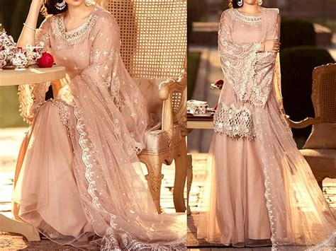 Embroidered Net Bridal Dress With Silk Trouser Price In Pakistan