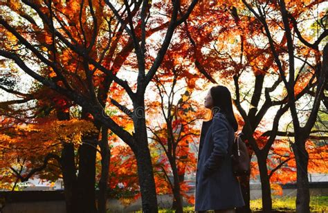 Asian Girl Walking In Japanese Maple Garden Kyoto Japan Stock Image