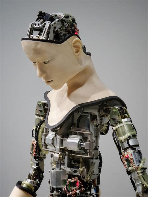 Robots Humanoides La Tendencia De La Inteligencia Artificial Que