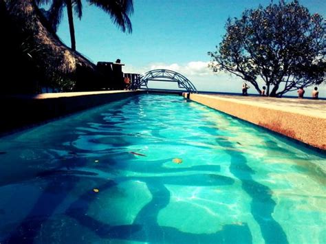 The Infinity Pool Picture Of Tamaraw Beach Resort Puerto Galera