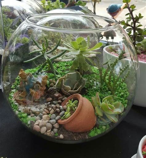 They haven't grown yet, but then again the first one took a long time to grow. De 10+ bästa idéerna om Terrarium på Pinterest | Cactus ...