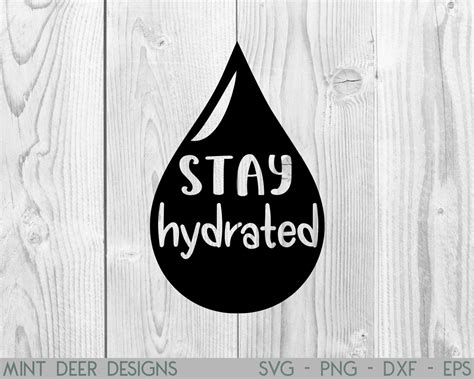 Stay Hydrated Svg Water Bottle Svg Water Bottle Sticker Etsy Australia