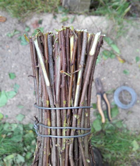 The Shed And Beyond How To Make A Besom Broom