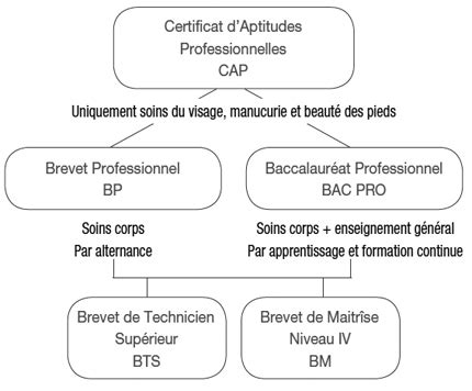 Les bourses d'études en russie, le quota d'admission ciblée dans l'enseignement supérieur. L'esthéticienne face à la législation - Article de Janvier ...