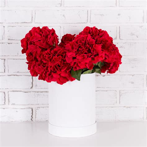 Seduction Red Carnations Flower Box Floralbash