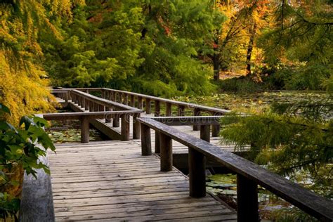 Van Dusen Botanical Gardens In Fall In Vancouver Bc Canada Stock