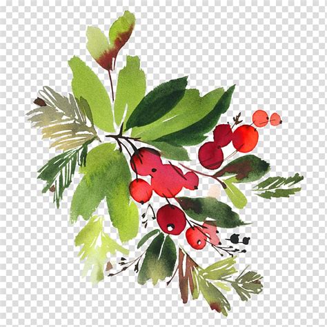 Red Green And Brown Cherries And Leaves Illustration Watercolour
