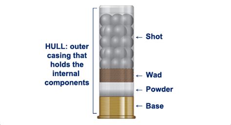 What Are Shotshells First Time Gun Buyer Explains