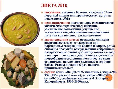 Диета 1 1б Организация диетического питания в лечебно-профилактических учреждениях Организация диетического питания в лечебно-профилактических учреждениях Диета 1 1б