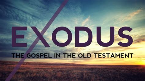 What Can Exodus Teach Us About Gods Plan Lindsey Neal Photography