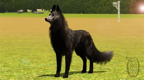 Sims 3 Pets Krahviik Dog 03 By Spiritythedragon On Deviantart