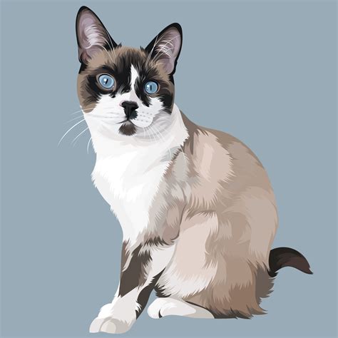 Siamese Cat Illustration By Vector Pets Pet Portraits From Your