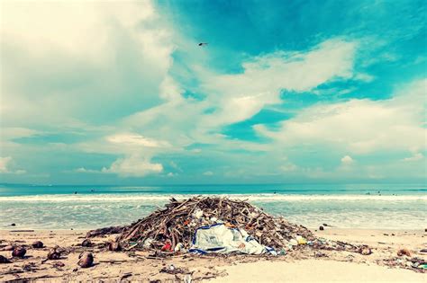 Death By Plastic Pollution 5 Ways You Can Save The Planet