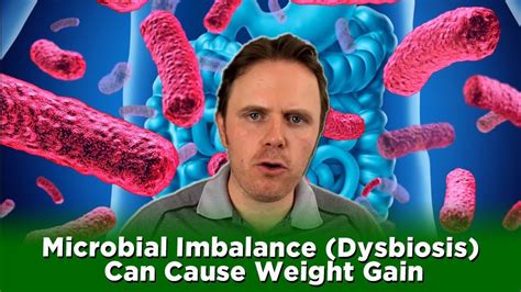 Microbial Imbalance Dysbiosis Can Cause Weight Gain Youtube