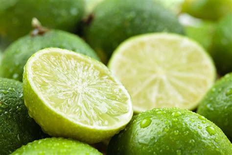 20 Different Types Of Limes