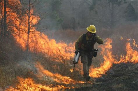 Texas Aandm Forest Service Set To Put Out 300th Wildfire This Year