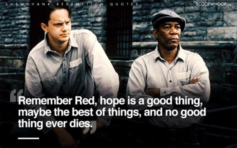 20 Best The Shawshank Redemption Quotes Top Quotes From The