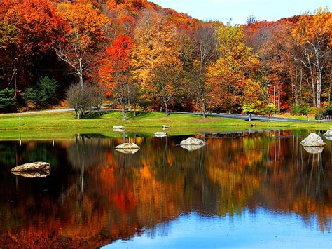 맑은 강 나무 경치 호수 맑은 맑은 강 나무 계절 반사 가을 자연 잎 나무 노랑 공원 사람이 만든 공간