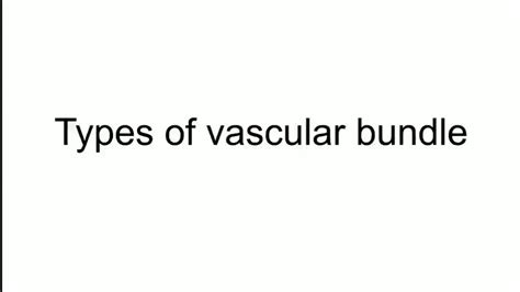 Types Of Vascular Bundle Youtube