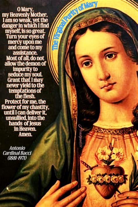Thought For The Day 1 August The Virginal Purity Of Mary Anastpaul