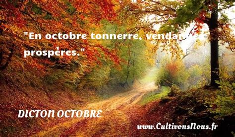 Dicton Octobre Tout Savoir Sur Les Dictonsdu Mois Doctobre