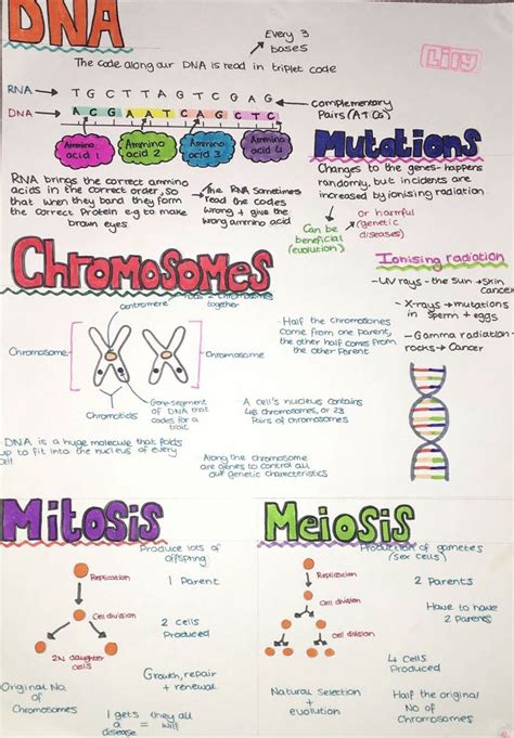 Cell Biology Gcse Notes