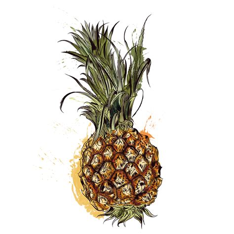 Ananas Dessin Png Emoticône Maïs Dessin Couleur Png