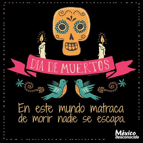 100 Frases De Día De Muertos México Desconocido