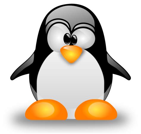 Linux Logo Png Transparent Image Download Size 1110x1055px