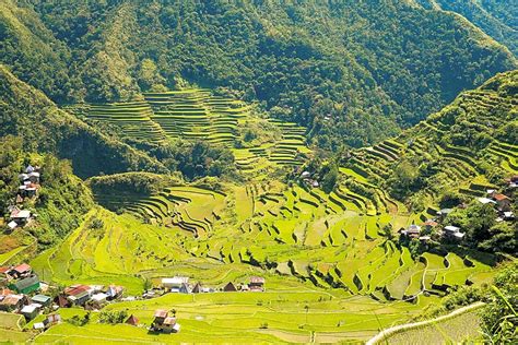 Discover Banaue Rice Terraces In Manila Trip Guru