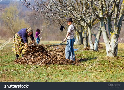 Grandmother Grandson Spring Cleaning Walnut Orchard Stock Photo