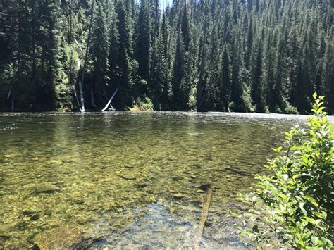 North Fork Of The Clearwater River Near Hidden Creek Campground Idaho