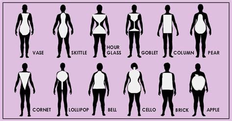 Body Shape Calculator Body Shape Guide Face Shapes Body Shapes