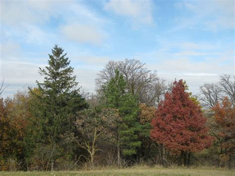 2009 Fall Colors Kleckner Oasis