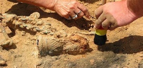 حيوانات قد تلتقي بها في طريقك. طبقات الارض فوق المقابر الفرعونية الاثرية | معلومة ثقافية