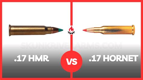 17 Hornet Vs 17 Hmr Which Ammo Is Better Skunk River Arms