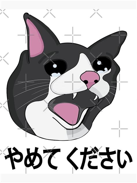 Yamete Kudasai Meme Crying Cat Yamero Japanese Words Art Print By