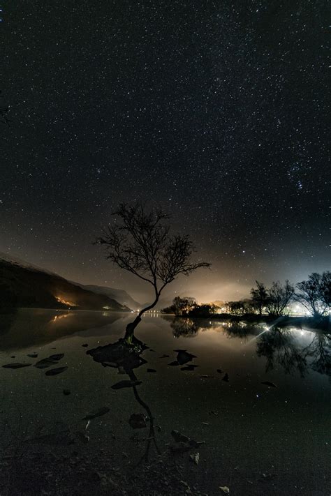 Lone Tree At Night Nightphotography