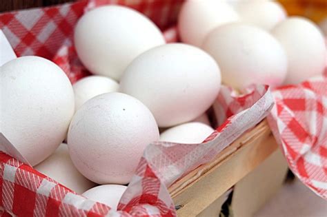 Conservation oeuf dur comment combien de temps durée astuces