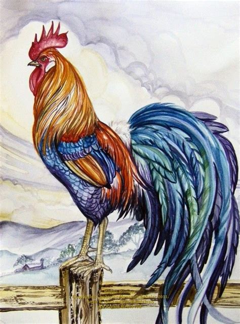 Rooster Drawing Images At Getdrawings Free Download
