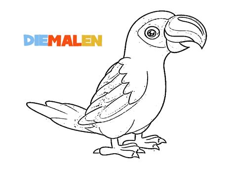 Ausmalbilder papagei → diemalen.com