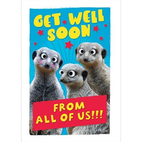 Get Well Soon From All Of Us Meerkats Long Greeting Card