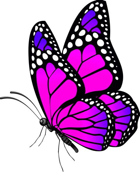 Free Desktop Wallpaper Butterflies Flowers Butterfly Png Clip Art