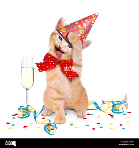 Katze Feiert Party Karneval Stockfotografie - Alamy