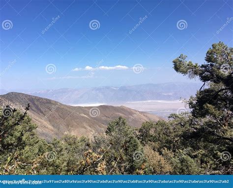 Vegetation In The Mountains In The Mojave Desert California Stock