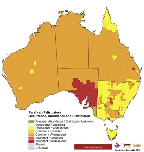 Australia wants to kill more than 2 million cats in the ...