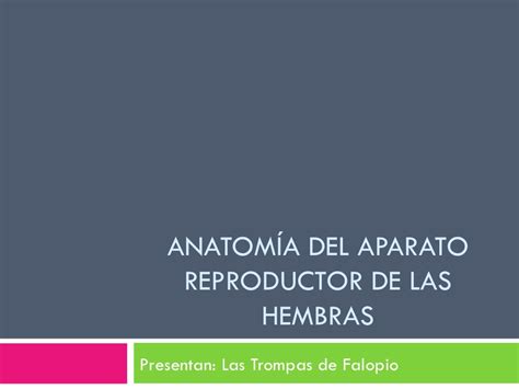 Anatomia Del Aparato Reproductor De Las Hembras