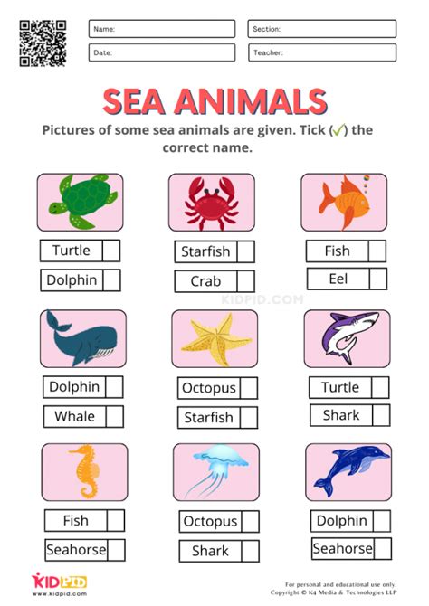 Sea animal worksheet